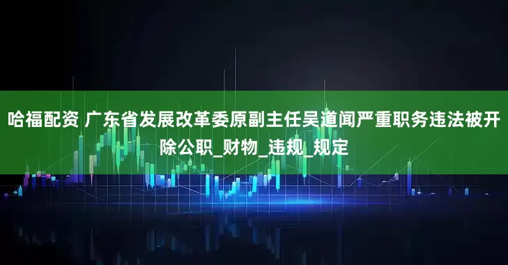哈福配资 广东省发展改革委原副主任吴道闻严重职务违法被开除公职_财物_违规_规定