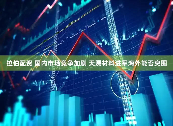 拉伯配资 国内市场竞争加剧 天赐材料进军海外能否突围